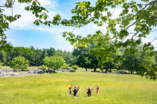 Benefits of Meditating Outside I DharmaCrafts