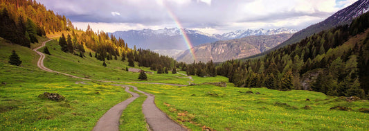 Sunday Stillness: Breaking the Routine
