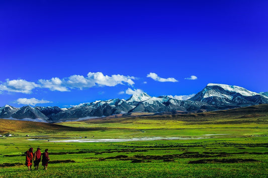 Buddhism in Tibet I DharmaCrafts