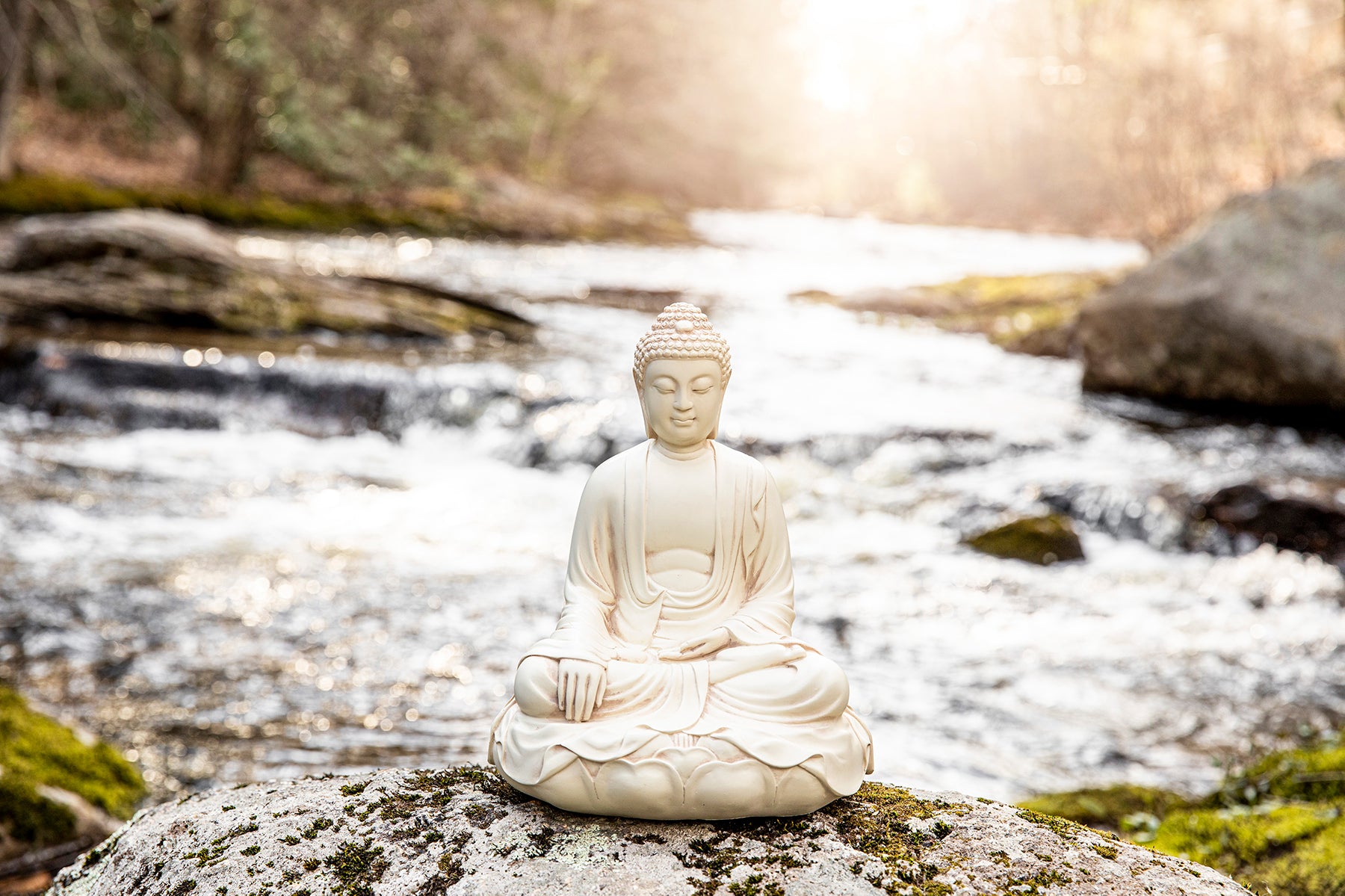 Favorite Buddha Statues for Meditation | DharmaCrafts