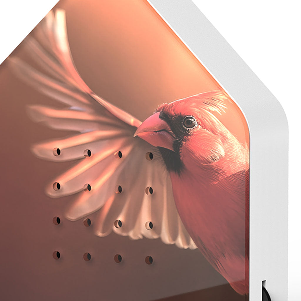 Bird Soundbox: Red Cardinal