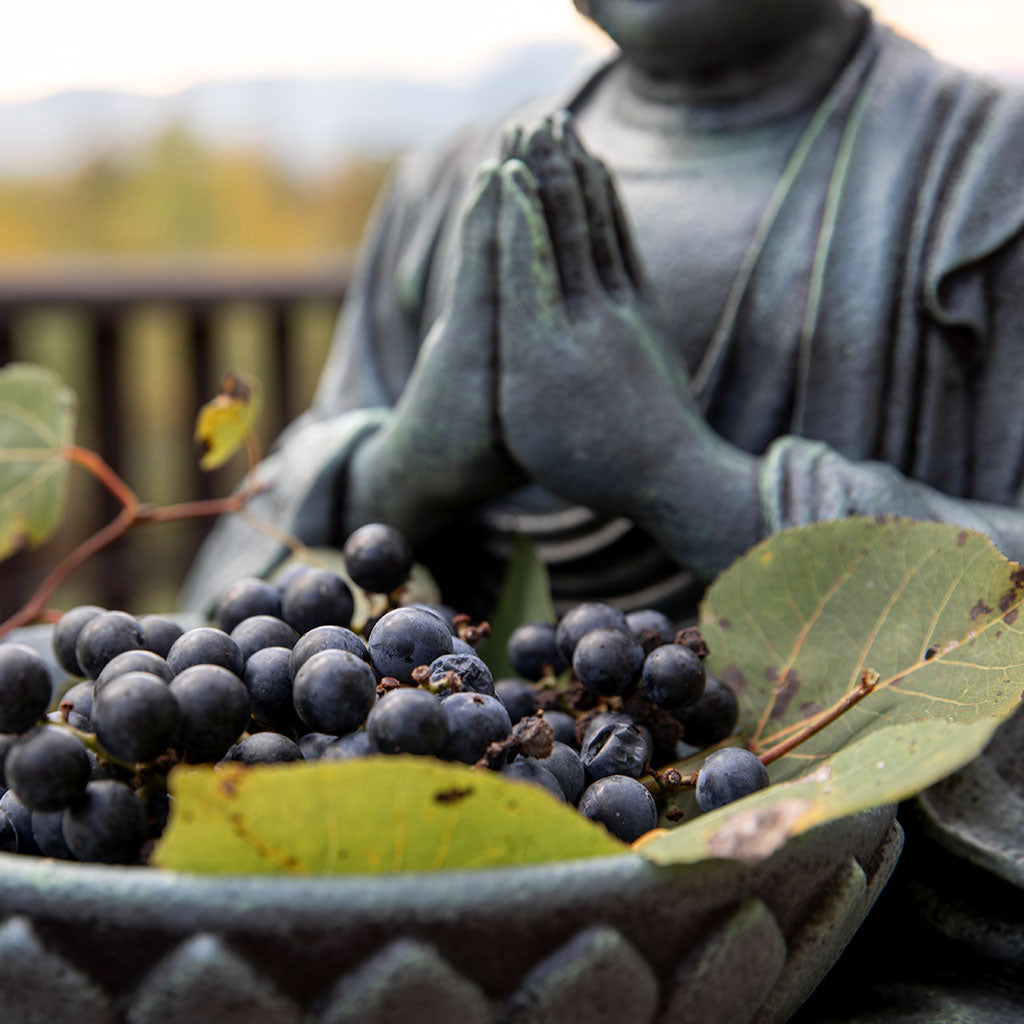 Buddhist Garden Statue: Monk with Bowl