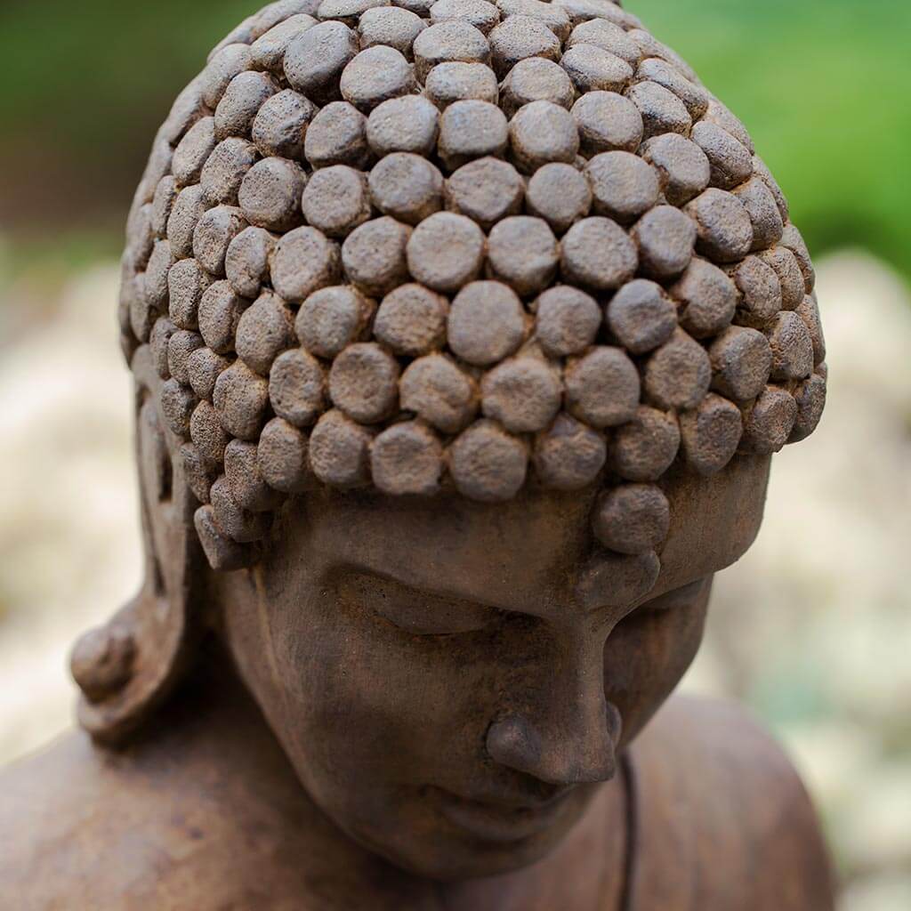 Stone statue of a Buddha with a blurred natural background