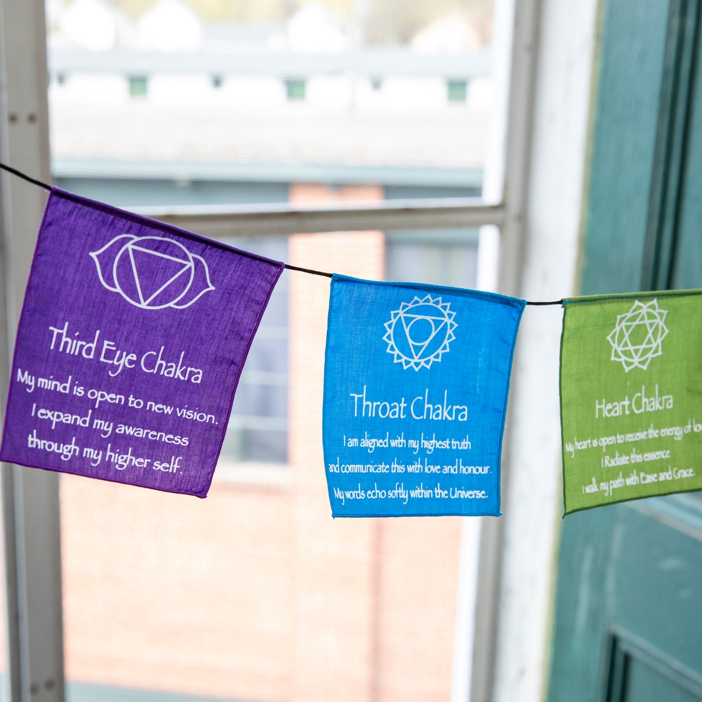 Small Chakra Prayer Flags