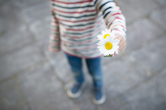 Cultivating Lovingkindness by Sharon Salzberg