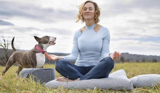 A Local’s Guide to Mindful Spots in Western MA for Walking Meditation