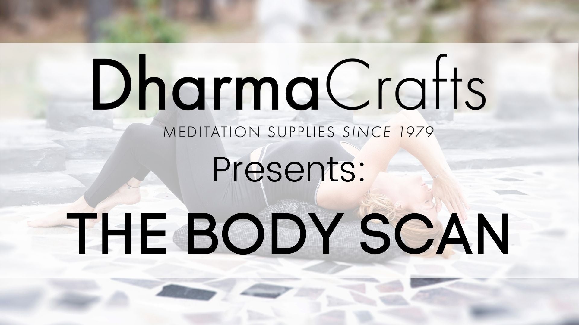 Full Body Scan  Craft Body Scan