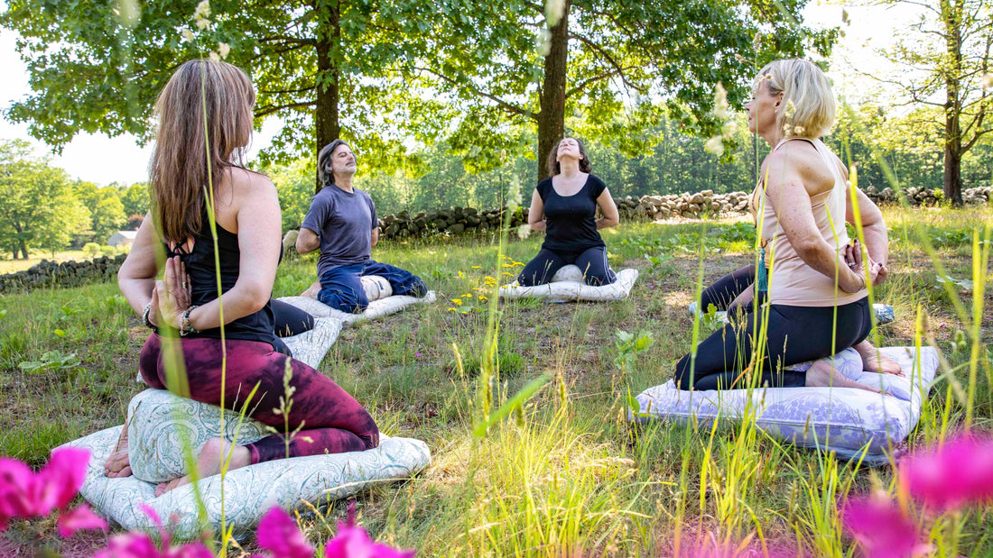Summer Solstice Reflection: A Mindful Invitation to Pause, Reset, and Reconnect