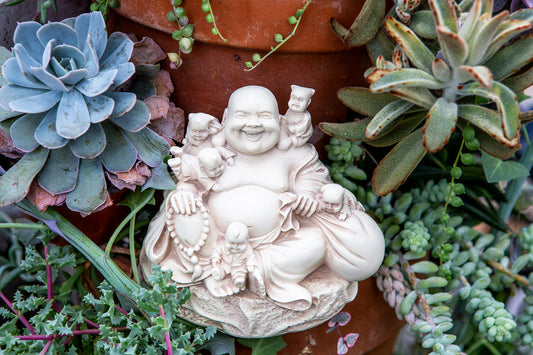 The Laughing Buddha