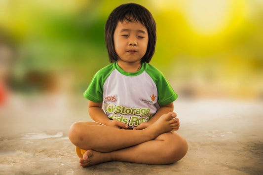 Meditating with Kids - Koun Franz