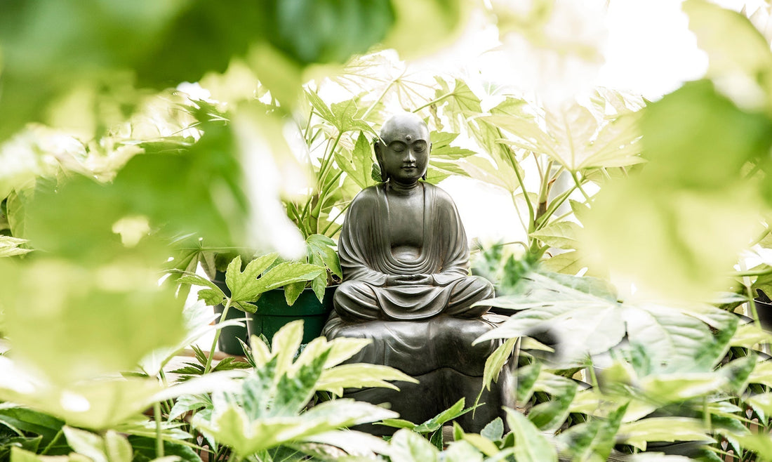 Beginner's Mind in a Budding Season