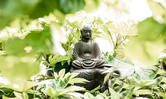 Beginner's Mind in a Budding Season