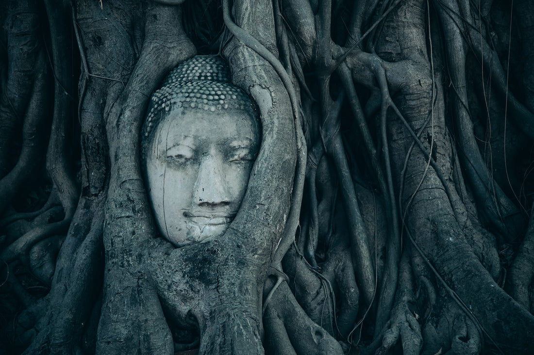 Beneath The Bodhi Tree I DharmaCrafts