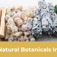 Collection of natural botanical ingredients including herbs, stones, and sticks on a white background with text '100% All Natural Botanicals Ingredients'.