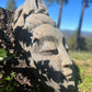 Stone sculpture of a face on a tree trunk with trees and sky in the background
