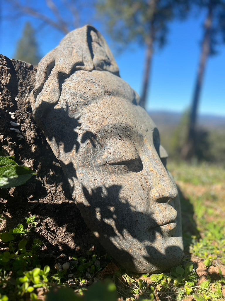 Stone sculpture of a face on a tree trunk with trees and sky in the background