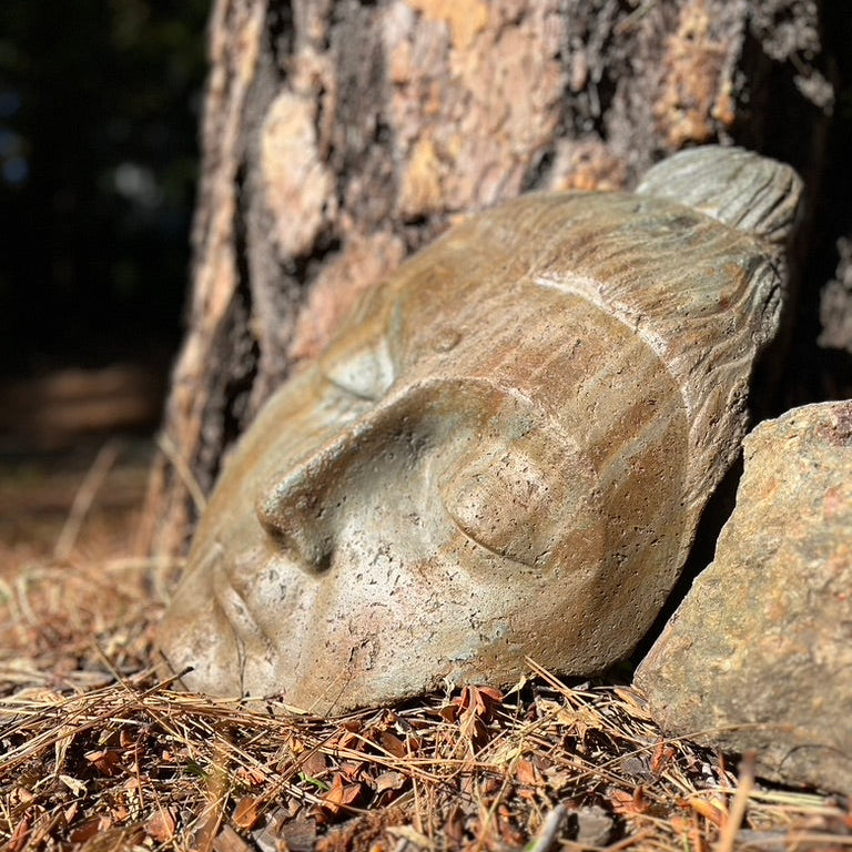 Stone sculpture of a face on the ground next to a tree
