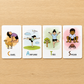 Yoga Alphabet Cards for Kids