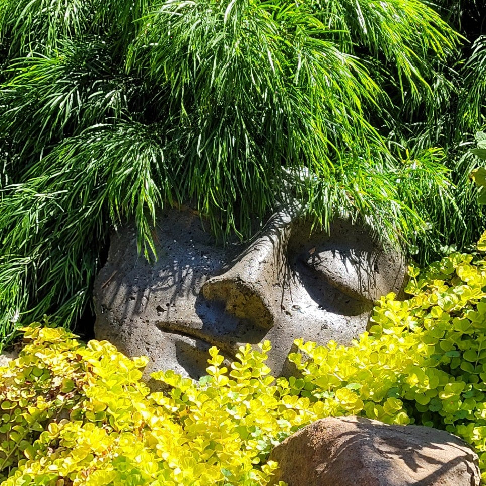 Decorative stone surrounded by greenery
