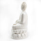 Enlightened Buddha Statue