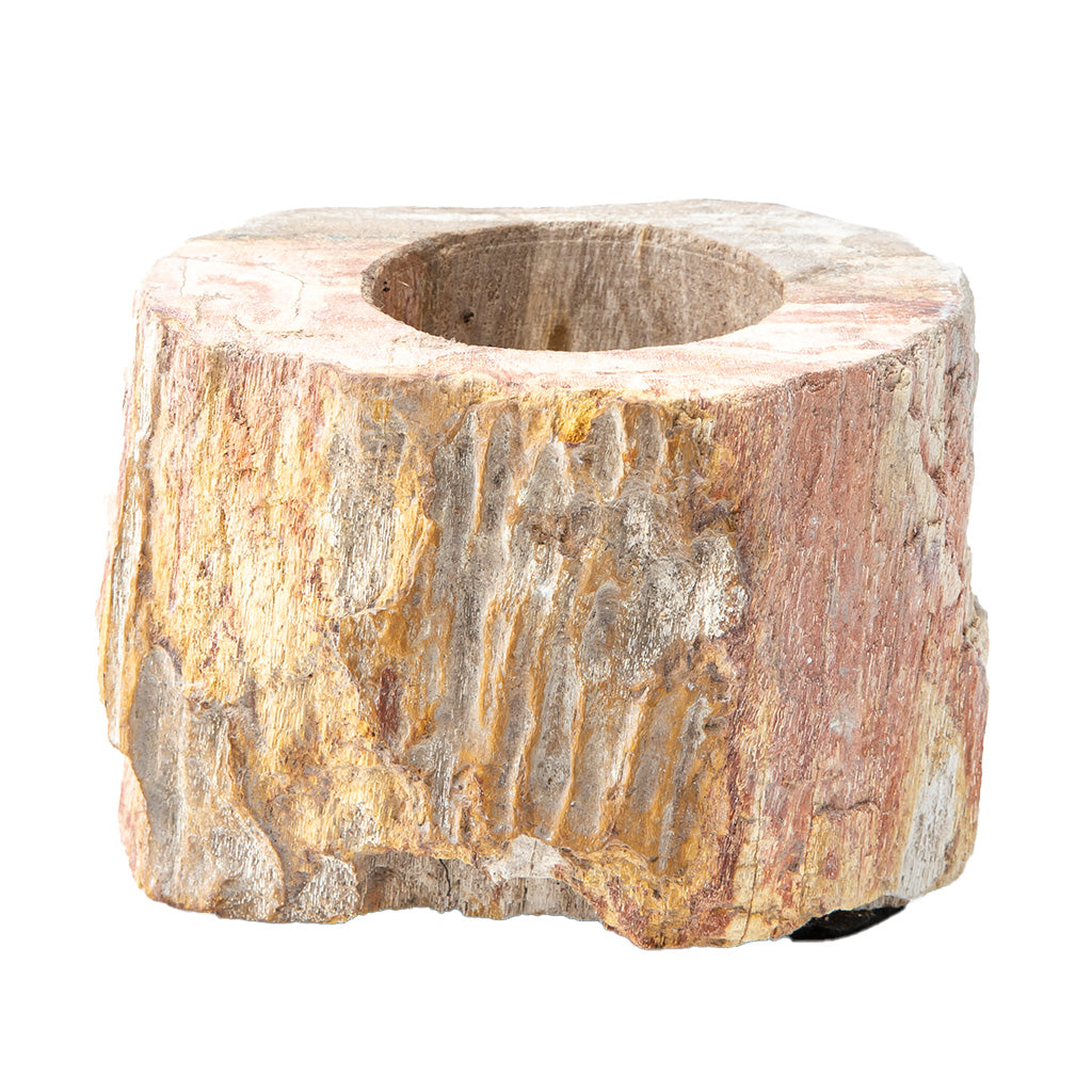 Petrified Wood Candle Holder