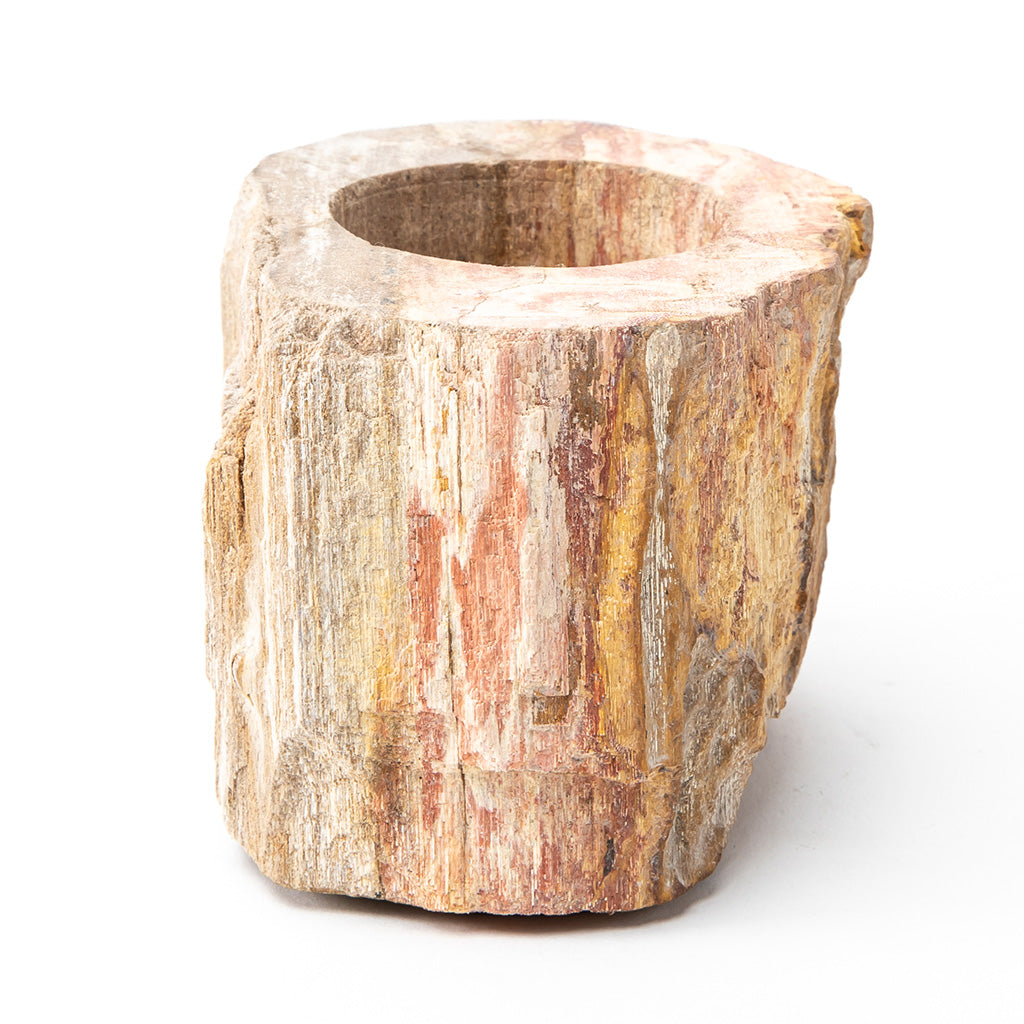 Petrified Wood Candle Holder