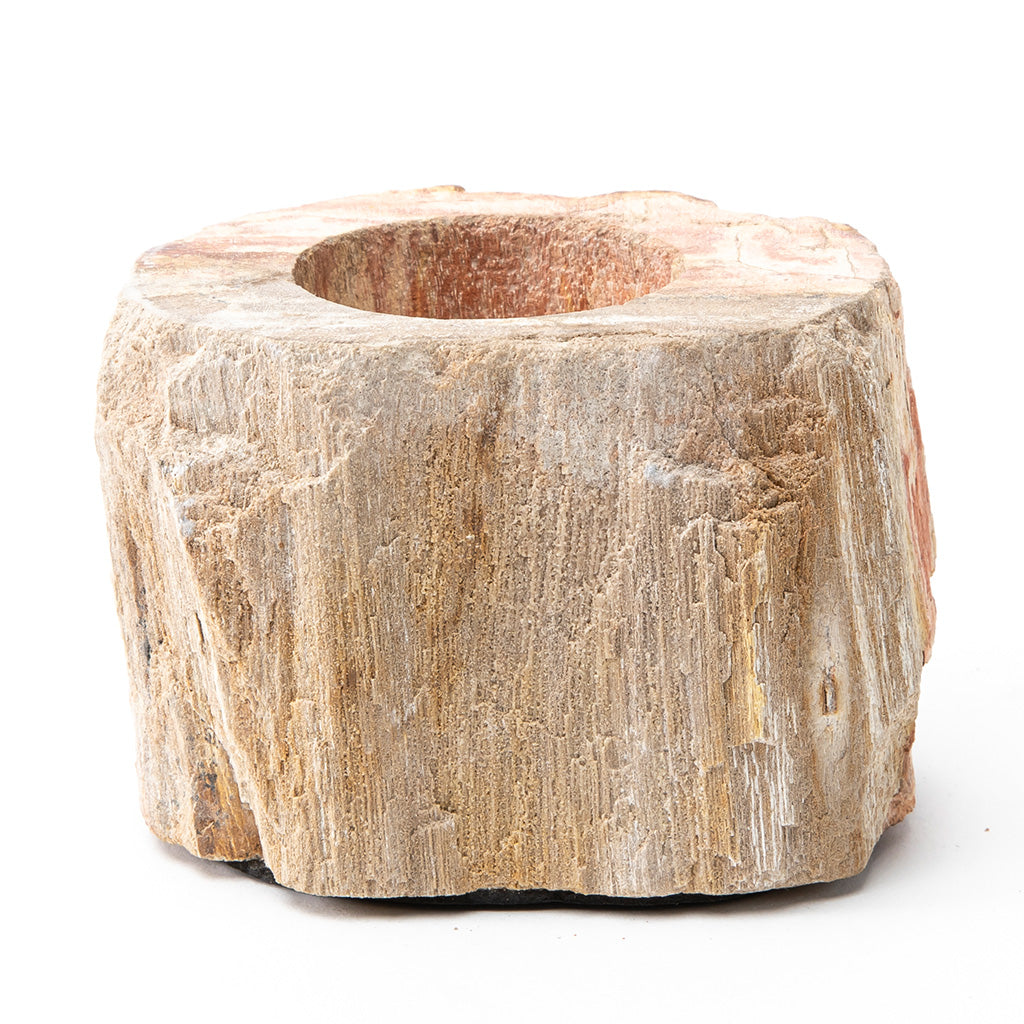 Petrified Wood Candle Holder