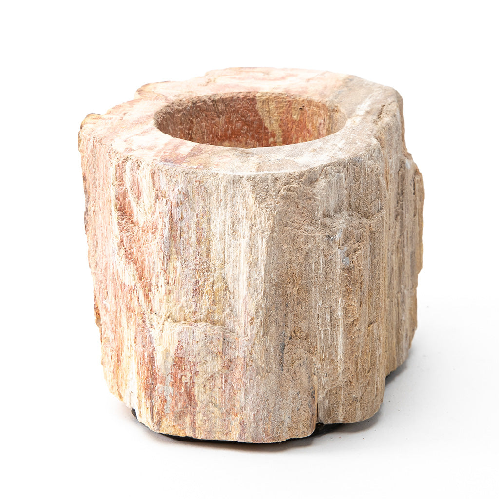 Petrified Wood Candle Holder