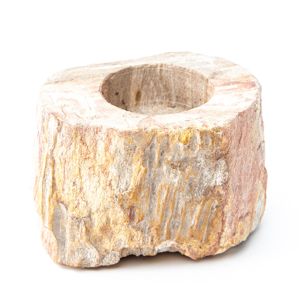 Petrified Wood Candle Holder