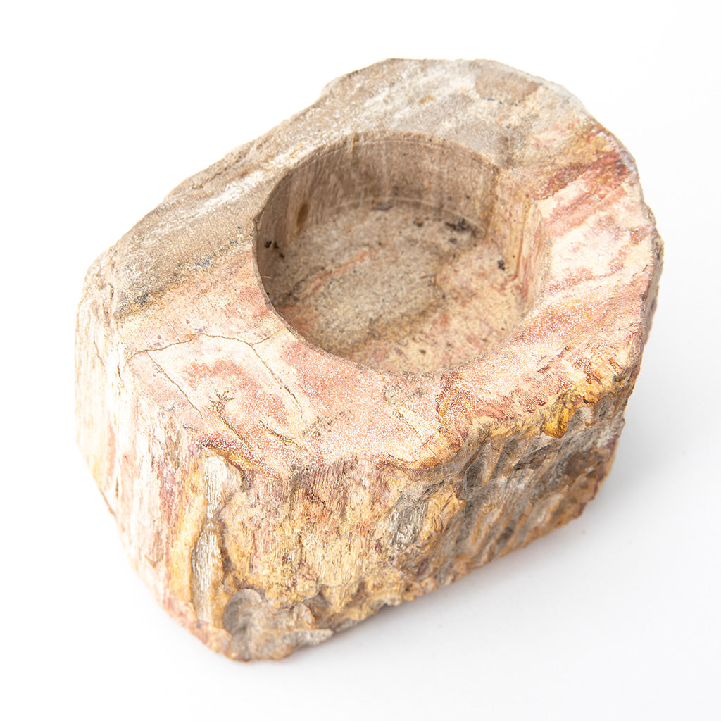 Petrified Wood Candle Holder