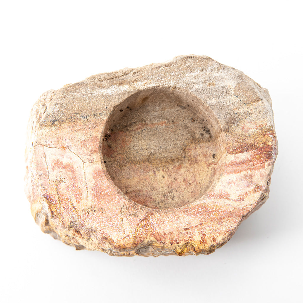 Petrified Wood Candle Holder