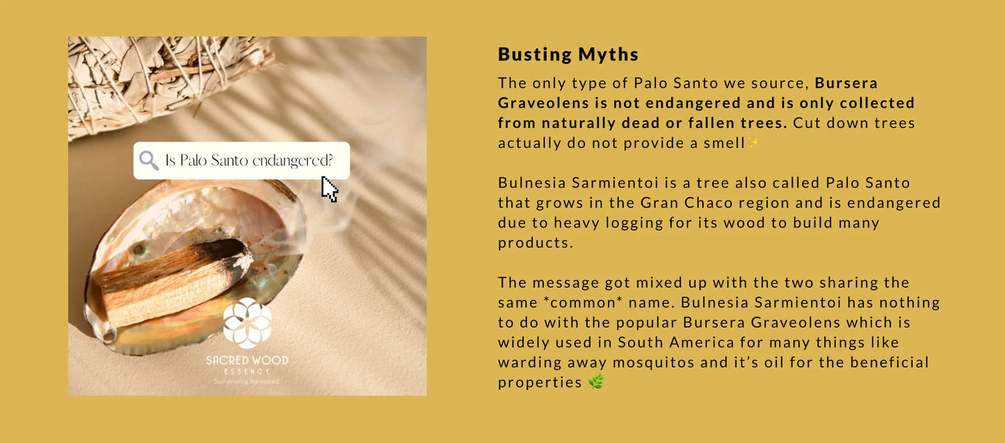 Bulla Sante Palo Santo product with text explaining the source and usage of the tree.