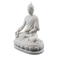 Medicine Buddha: Varada Mudra With Medicinal Herbs