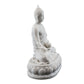 Medicine Buddha: Varada Mudra With Medicinal Herbs