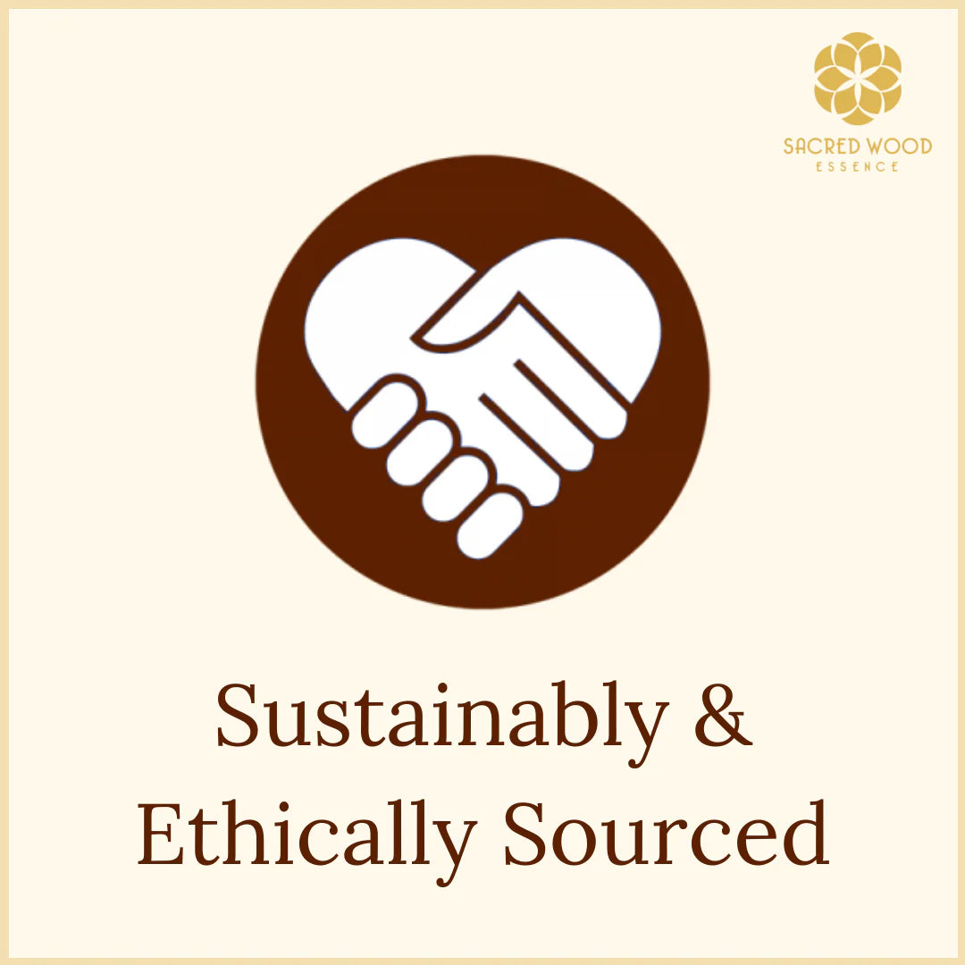 The Ultimate Ritual: Palo Santo & Sage Cleansing Set