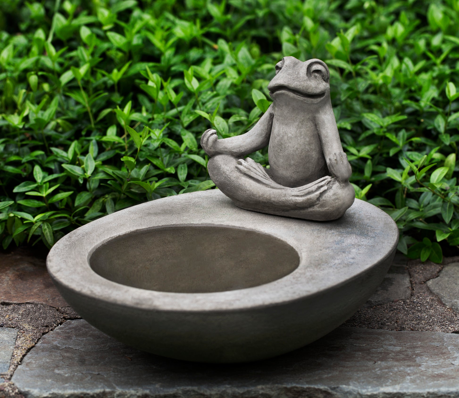 Zen Frog Bird Bath – DharmaCrafts