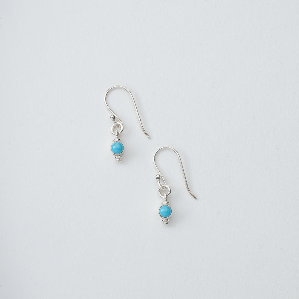 Small Turquoise Stone Dangle Earrings