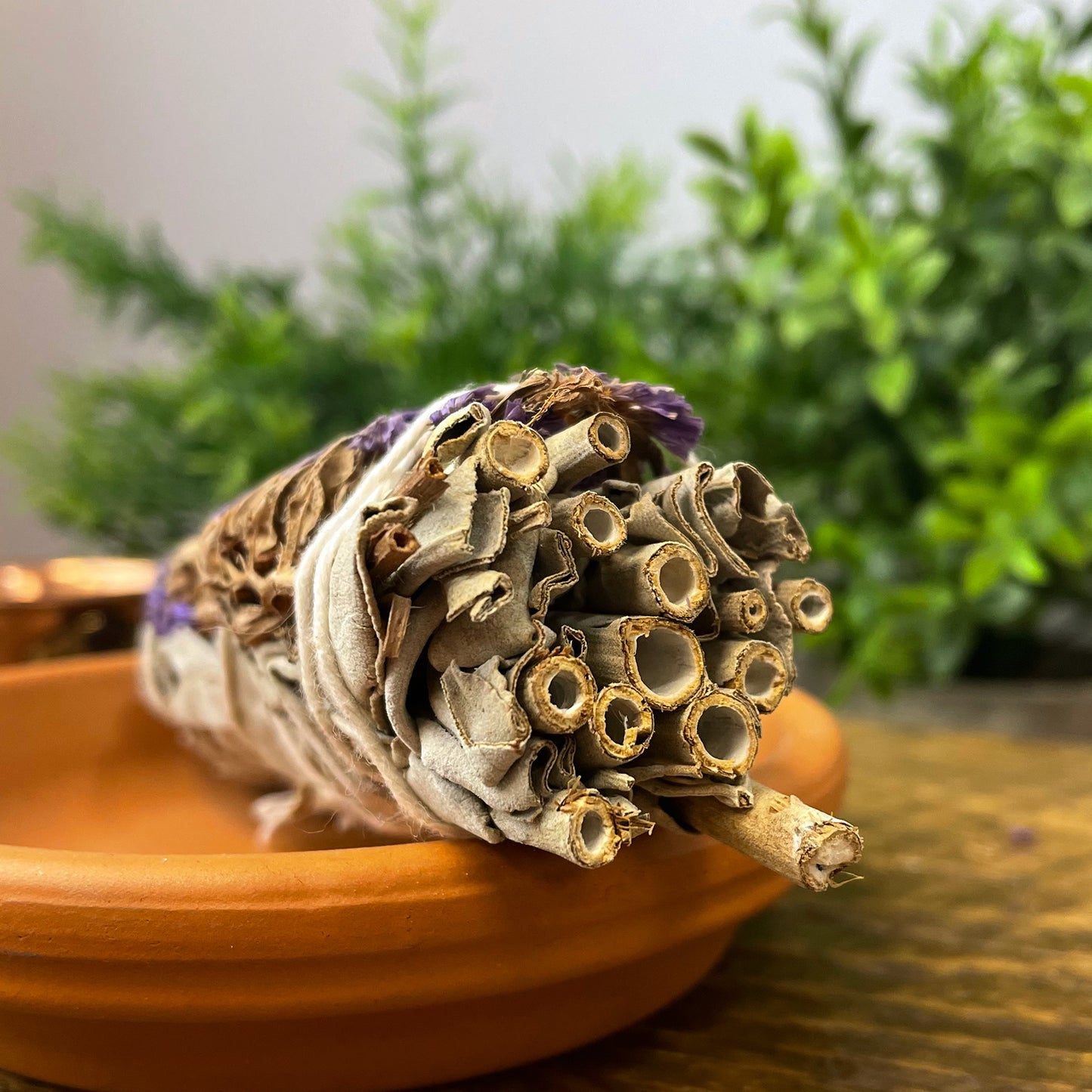 White Sage with Flowers