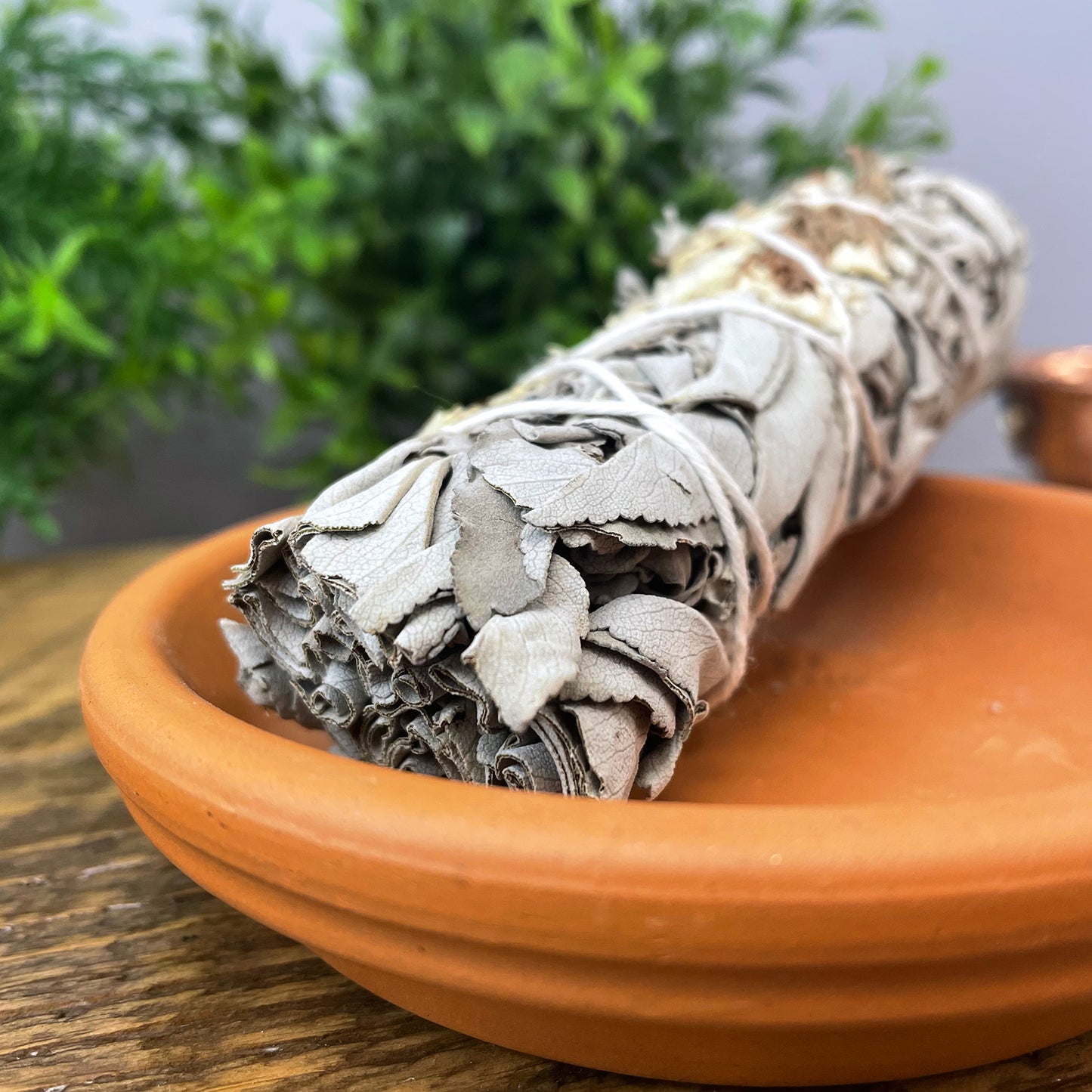 White Sage with Flowers