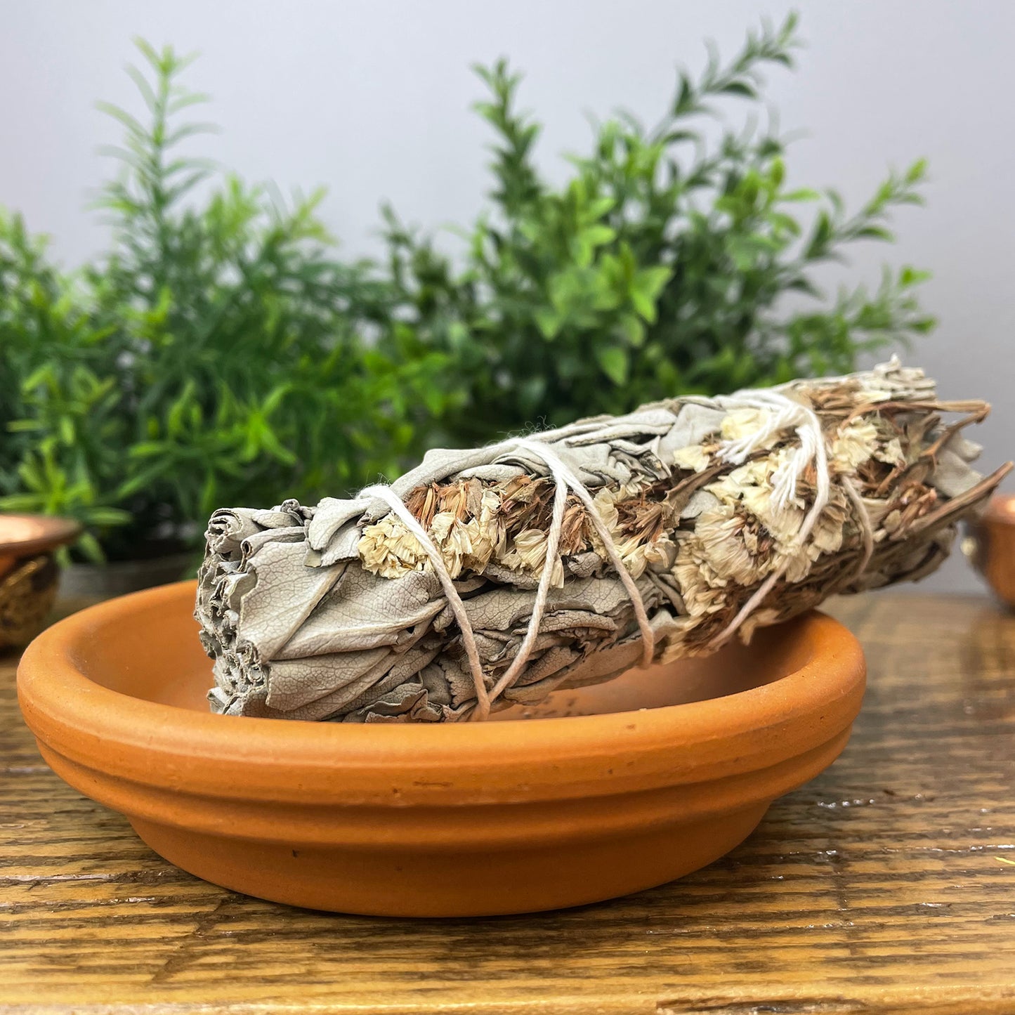 White Sage with Flowers