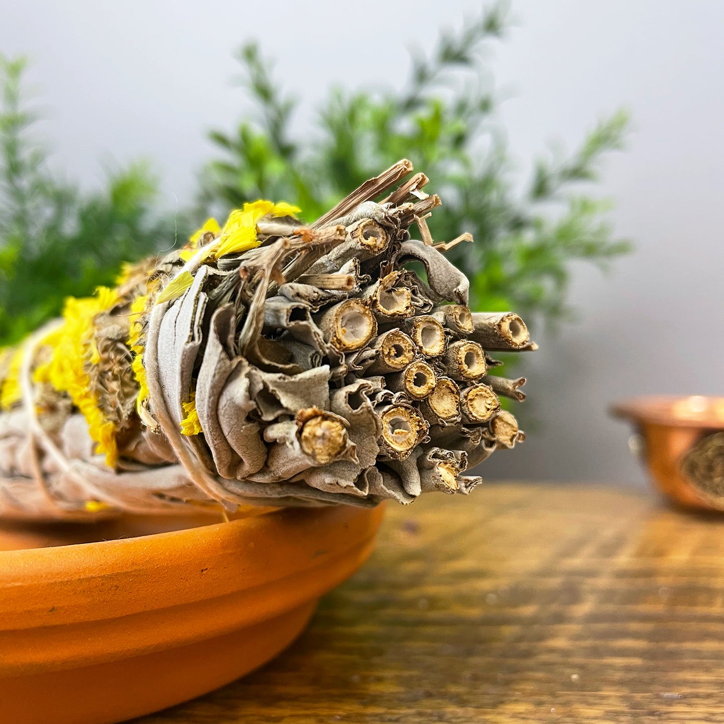 White Sage with Flowers