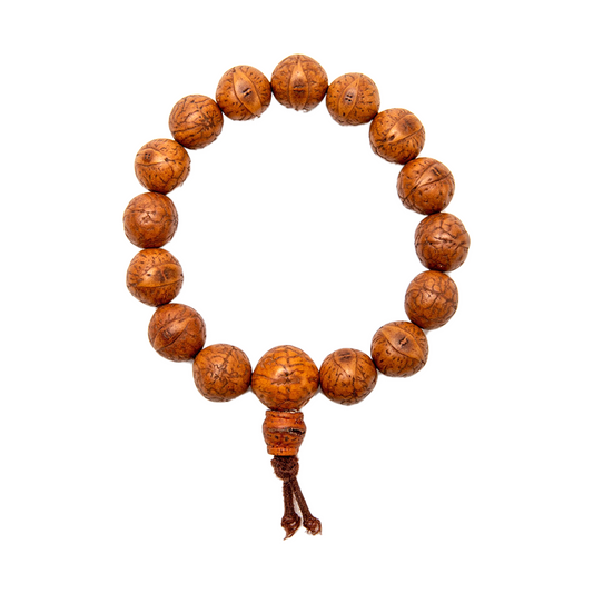Bodhi Seed Bracelet on a solid white backdrop.