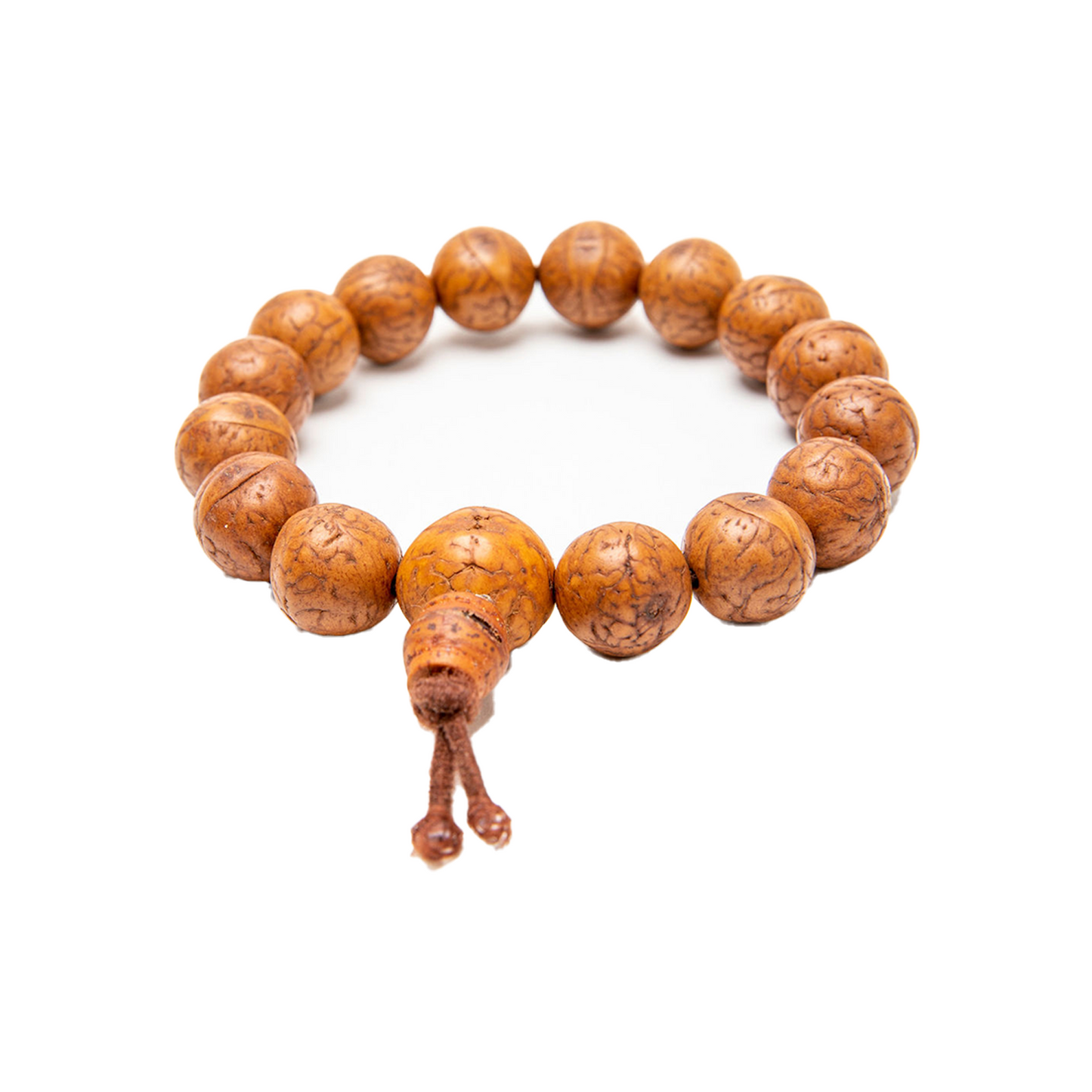 Back of Bodhi Seed Bracelet on a solid white backdrop. Guru bead is in focus.