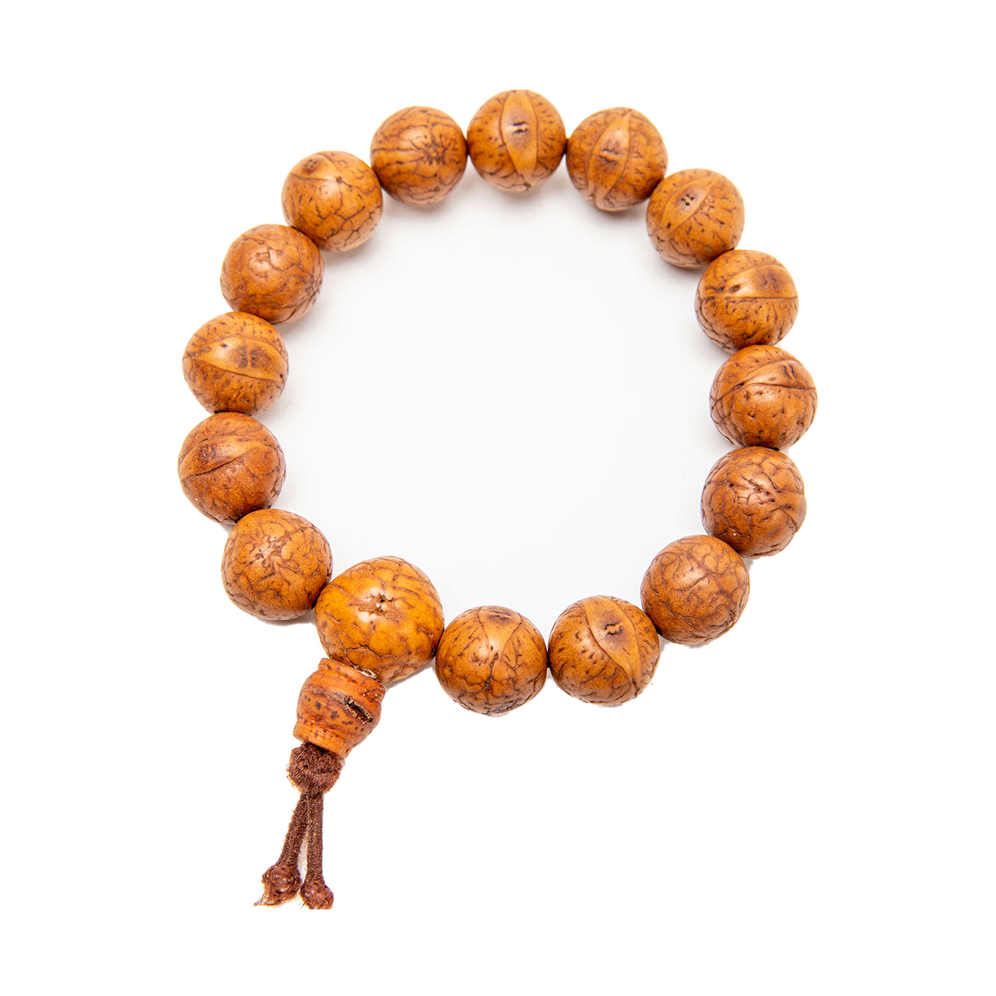 Bodhi Seed Bracelet on a solid white backdrop; top angle.