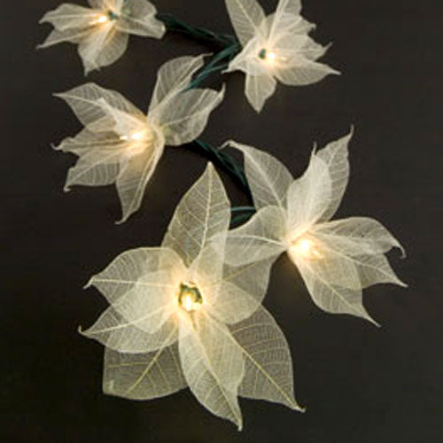 Bodhi Leaf Look-a-Lights